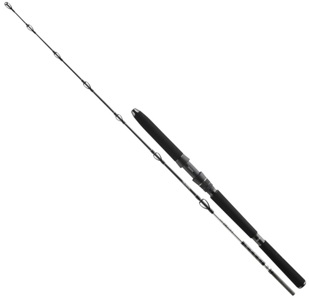 Daiwa prút bg deep sea 2,20 m 30 lbs.
 Prút BG Deep Sea 11928-175 má trochu tuhší blank, a tak sa dokonale hodí na lov vo veľkých hĺbkach s umelými nástrahami a pilkrami – ideálny na tresky a halibuty.
 Do rady BG patria aj prúty na jigging na lov kranasov alebo na hlbinný lov ostrižov.
 Tieto vlastnosti robia z prútov BG spoľahlivého spoločníka pri nekompromisných rybárskych výpravách do oceánov po celom svete.
 Vlastnosti: 
 •Uhlíkový blank HMC+® •Omotávka nití • Delená EVA rukoväť •Očká z oxidu titánu odolné voči slanej vode •Sedlo navijaka DPS-H s bezpečnostnou maticou • Stredne rýchla akcia prútu