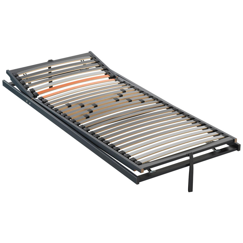 Dieter Knoll ROŠT, (pre rám) 120/200 cm.