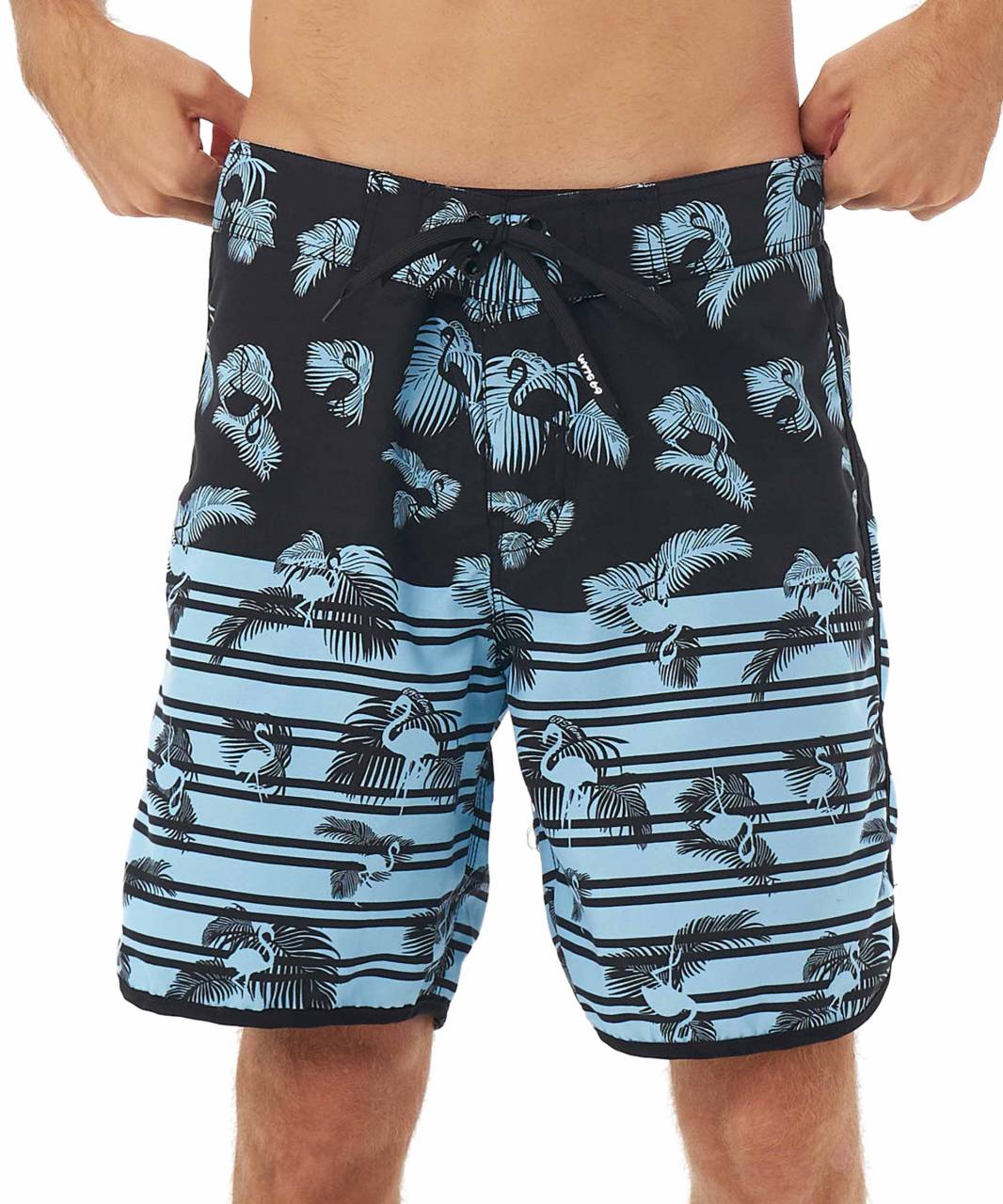 Pánske plavky 69SLAM FLAMINGO PALM AXEL (SSXFLA-PM) 32.