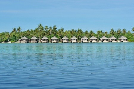 Maldivy  Ayada Maldives 8 dňový pobyt Raňajky Letecky Letisko: Praha June 2025 (13/06/25-20/06/25)