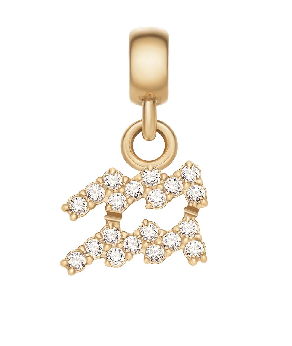 Daniel Wellington Pozlátený prívesok s kryštálmi Vodnár Crystal Zodiac DW00400764.