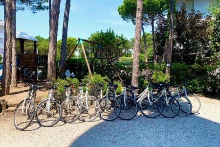 Taliansko Bibione Hotel Alemagna 8 dňový pobyt Raňajky Vlastná September 2026 ( 3/09/26-10/09/26)
