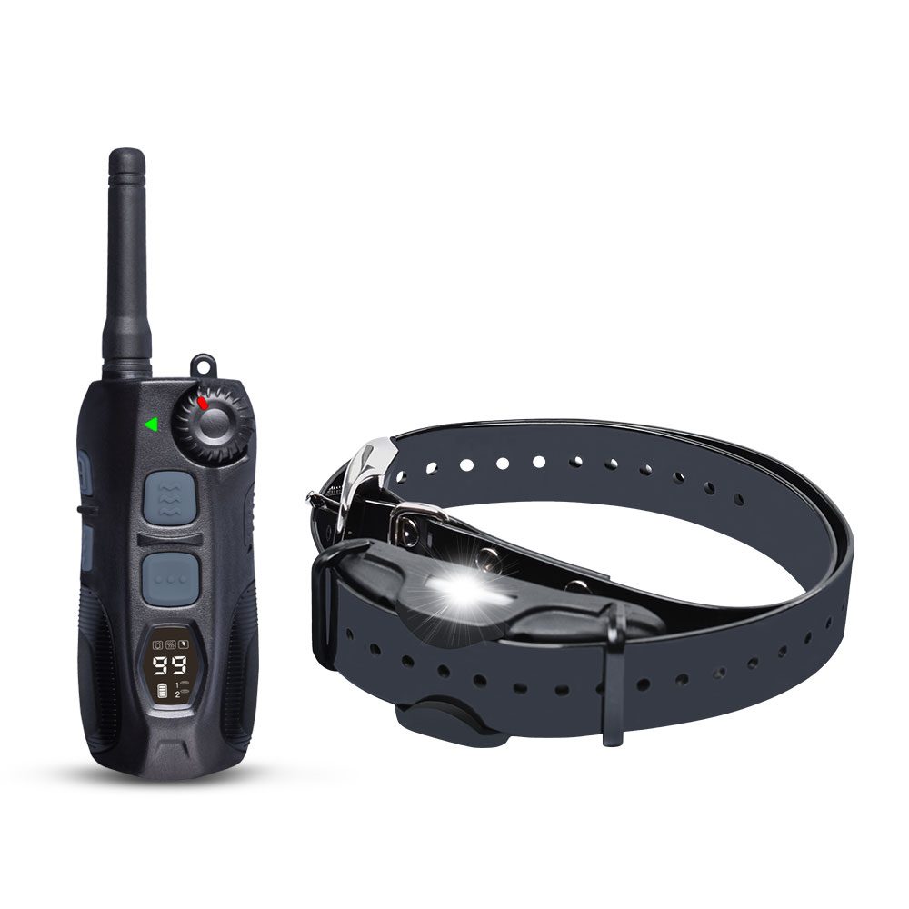 Reedog DT-4200.