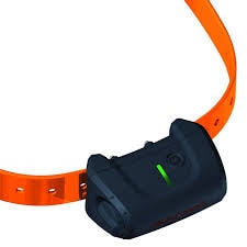 Halsband und Empfänger Canicom 5 - orange.
 
Achtung!