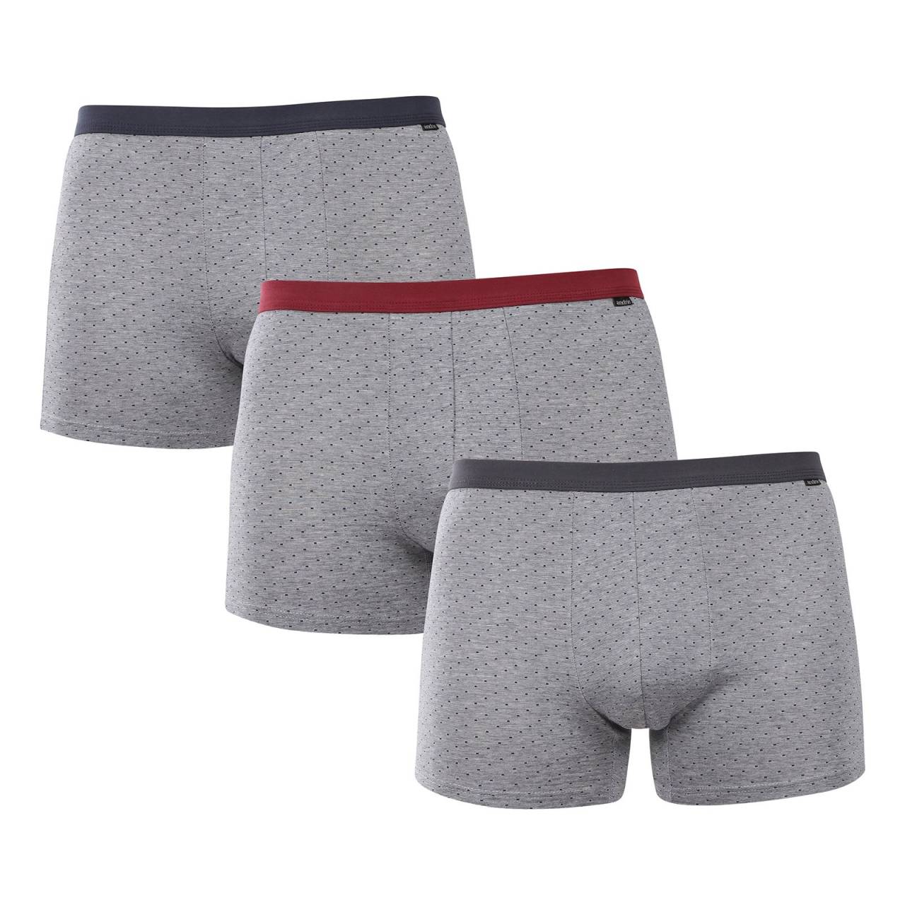 3PACK pánske boxerky Andrie sivé (PS 5702) 3XL, trenky.
Hľadáte spodnú bielizeň, ktorá vám poskytne maximálne pohodlie, kvalitné spracovanie a zároveň vás nesklame ani svojim vzhľadom?
Kvalitný materiál, ktorý sa dobre nosí
Boxerky sú vyrobené z príjemnej zmesi bavlny s prímesou elastanu.
Moderný dizajn a klasický štýl
Boxerky majú pohodlný strih s dlhšími nohavičkami, ktoré oceníš pri každodennom nosení aj pri dlhšom sedení – nehrozí vyhrnutie ani odieranie.
Prečo vyskúšať boxerky Andrie

Pohodlný strih s dlhšími nohavičkami: Skvele sedia a držia tvar po celý deň bez zhrňovania.
Štýlový dizajn: Hravé, ale vkusné prevedenie, ktoré vám dodá šmrnc.
Kvalitný materiál: Kombinácia bavlny a elastanu pre ideálny pomer mäkkosti a pružnosti.

Andrie ponúka české spodné prádlo pre mužov, ktorí vedia, čo chcú
Pánske trenky Andrie vynikajú príjemnými materiálmi aj kvalitou spracovania.
Ako sa starať o pánske boxerky Andrie
Aby ti boxerky vydržali dlho v skvelom stave, odporúčame dodržiavať nasledujúce pokyny na údržbu.

Pranie: Boxerky odporúčame prať pri maximálnej teplote 40 °C.
Sušenie: Sušenie v sušičke sa neodporúča – vysoké teploty môžu poškodiť elastické vlákna a spôsobiť srážanie tkaniny.
Žehlenie: V prípade potreby môžete boxerky žehliť na nižšej teplote vhodnej pre bavlnu.

Tip: Staňte sa odborníkom na údržbu spodnej bielizne vďaka tipom v našom článku a doprajte svojim obľúbeným kúskom starostlivosť, ktorú si zaslúžia.