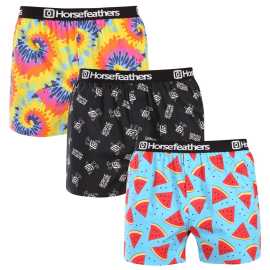 3PACK pánske trenky Horsefeathers Frazier Bundle 8 (AM096K) XL, trenírky.
Ukážte svoj štýl a zmysel pre humor s pánskymi šortkami Horsefeathers.
Kvalitný materiál pre dokonalé pohodlie
Šortky Horsefeathers sú vyrobené zo 100 % bavlny, čo znamená, že vám ponúknu príjemný pocit na pokožke.
Originálny dizajn a pohodlné nosenie
Každý pár šortiek je vybavený jedinečnou potlačou, ktorá dodá vášmu šatníku štýl a moderný nádych.
Prečo si tieto šortky zamilujete?

Originálne potlače, ktoré dodajú zábavu každému dňu.


Pohodlný materiál a voľný strih pre celodenné pohodlie.


Kvalitné spracovanie od značky Horsefeathers, ktorá je synonymom štýlu a spoľahlivosti.

Pánske šortky Horsefeathers majú štýl
Slovo „horsefeathers“ znamená v angličtine „úplný nezmysel“, ale spodná bielizeň od rovnomennej značky vás presvedčí, že pri jej kúpe žiadny nezmysel nehrozí.
Ako sa starať o svoje nové šortky
Aby ste sa uistili, že vaše šortky zostanú čo najdlhšie v skvelej forme, dodržiavajte tieto pokyny:

Pranie: Perte pri maximálnej teplote 30°C s jemnými pracími prostriedkami.


Sušenie: Sušenie v bubnovej sušičke neodporúčame, aby sa materiál nezrazil alebo nepoškodil potlač.


Žehlenie: Šortky môžete žehliť pri nízkej teplote.

Tip: Staňte sa expertom na údržbu spodnej bielizne vďaka radám v našom článku a doprajte svojim obľúbeným kúskom starostlivosť, akú si zaslúžia.