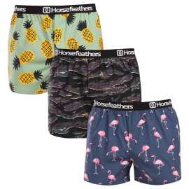 3PACK pánske trenky Horsefeathers Frazier Bundle 9 (AM096L) XL, trenírky.
Ukážte svoj štýl a zmysel pre humor s pánskymi šortkami Horsefeathers.
Kvalitný materiál pre dokonalé pohodlie
Šortky Horsefeathers sú vyrobené zo 100 % bavlny, čo znamená, že vám ponúknu príjemný pocit na pokožke.
Originálny dizajn a pohodlné nosenie
Každý pár šortiek je vybavený jedinečnou potlačou, ktorá dodá vášmu šatníku štýl a moderný nádych.
Prečo si tieto šortky zamilujete?

Originálne potlače, ktoré dodajú zábavu každému dňu.


Pohodlný materiál a voľný strih pre celodenné pohodlie.


Kvalitné spracovanie od značky Horsefeathers, ktorá je synonymom štýlu a spoľahlivosti.

Pánske šortky Horsefeathers majú štýl
Slovo „horsefeathers“ znamená v angličtine „úplný nezmysel“, ale spodná bielizeň od rovnomennej značky vás presvedčí, že pri jej kúpe žiadny nezmysel nehrozí.
Ako sa starať o svoje nové šortky
Aby ste sa uistili, že vaše šortky zostanú čo najdlhšie v skvelej forme, dodržiavajte tieto pokyny:

Pranie: Perte pri maximálnej teplote 30°C s jemnými pracími prostriedkami.


Sušenie: Sušenie v bubnovej sušičke neodporúčame, aby sa materiál nezrazil alebo nepoškodil potlač.


Žehlenie: Šortky môžete žehliť pri nízkej teplote.

Tip: Staňte sa expertom na údržbu spodnej bielizne vďaka radám v našom článku a doprajte svojim obľúbeným kúskom starostlivosť, akú si zaslúžia.