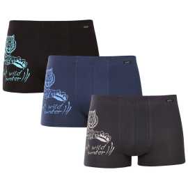 3PACK Herren Klassische Boxershorts Andrie mehrfarbig (PS 5865) 3XL.
Sind Sie auf der Suche nach Unterwäsche, die Ihnen maximalen Komfort bietet , hochwertig verarbeitet ist und Sie gleichzeitig nicht mit ihrem Aussehen enttäuscht?
Hochwertiges Material, das sich gut trägt
Die Boxershorts sind aus einer bequemen Baumwollmischung mit einem Hauch von Elastan gefertigt.
Modernes Design und klassischer Stil
Die Boxershorts haben einen bequemen Schnitt mit längeren Beinen, was Sie im Alltag und bei längeren Trainingseinheiten zu schätzen wissen werden - es besteht keine Gefahr des Einlaufens oder Reibens.
Warum Andrie Boxershorts

Bequemer Schnitt mit längerem Bein: Sie sitzen gut und halten den ganzen Tag ihre Form, ohne zu drücken.
Elegantes Design: Ein verspieltes und doch geschmackvolles Design, das Ihnen einen Hauch von Flair verleiht.
Hochwertiges Material: Kombination aus Baumwolle und Elastan für ein ideales Verhältnis von Weichheit und Elastizität.

Andrie bietet tschechische Unterwäsche für Männer, die wissen, was sie wollen
Die Herren-Shorts Andrie zeichnen sich durch ihre angenehmen Materialien und die Qualität der Verarbeitung aus.
Pflegehinweise für Andrie Boxershorts für Männer
Damit Ihre Boxershorts lange in gutem Zustand bleiben, empfehlen wir Ihnen, die folgenden Pflegehinweise zu beachten.

Waschen: Wir empfehlen, die Boxershorts bei einer Temperatur von maximal 40 °C zu waschen.
Trocknen: Das Trocknen im Wäschetrockner wird nicht empfohlen, da die hohen Temperaturen die elastischen Fasern beschädigen und ein Schrumpfen verursachen können.
Bügeln: Falls erforderlich, können Sie die Boxershorts auf einer niedrigeren, für Baumwolle geeigneten Stufe bügeln.

Tip: Werden Sie ein Experte für die Pflege von Unterwäsche mit den Ratschlägen in unserem Artikel und geben Sie Ihren Lieblingsstücken die Pflege, die sie verdienen.
