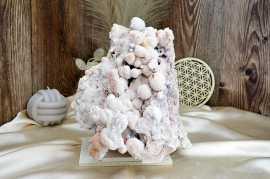 Zbierková drúza CHALCEDÓN -4kg- Aktivácia hrdlovej čakry, Tvorivosť, Optimizmus, Očista AAA Kvalita Afirmácia: Opúšťam všetko čo nedokážem ovládať a nachádzam vnútorný pokoj v tom čo môžem ovládať. 

Chalcedón je kryštál podporujúci tvorivé schopnosti. Otvára myseľ, aby dokázala prijímať nové podnety a pomáha svojmu nositeľovi vyrovnávať sa s novými situáciami. Chalcedón v sebe stelesňuje duševnú prispôsobivosť a výrečnosť. Pomáha nám zretelne komunikovať cez Božské vedenie.  Posilňuje a zaceľuje praskliny v našej Aure.