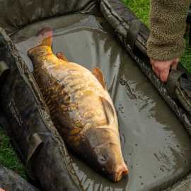 One more cast podložka heist pb roll mat.
 Vďaka kompaktným rozmerom je veľmi praktická, ale zároveň ponúka veľkorysú plochu na manipuláciu s rybou.
 Podložka je vybavená odtokovými očkami v rohoch pre efektívne odvádzanie vody.
 V plochej polohe má rozmery 130 × 96 cm, zatiaľ čo pri zostavení do tvaru kolísky dosahuje rozmery 96 × 62 cm.
 OMC Heist PB Roll Mat je skvelou voľbou pre rybárov, ktorí hľadajú prémiovú a vysoko funkčnú podložku, ktorá poskytne kaprom maximálnu bezpečnosť a zároveň sa ľahko prenáša aj používa.