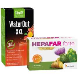 Misia ploché bruško.