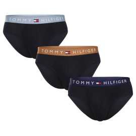 3PACK pánske slipy Tommy Hilfiger tmavo modré (UM0UM03575 0VM) XXL.
Vychutnajte si pohodlie, na ktoré sa môžete spoľahnúť každý deň, a zároveň štýl, ktorý je synonymom americkej elegancie.
Prémiový materiál pre vaše maximálne pohodlie
Slipy sú vyrobené z bavlny s prímesou elastanu, čo je osvedčená kombinácia pre spodnú bielizeň.
Nadčasový štýl pre milovníkov minimalizmu
Typický čistý dizajn značky Tommy Hilfiger je doplnený vytkávanou gumou s logom, ktorá pridáva slipom moderný a štýlový akcent.
Prečo by ste mali určite vyskúšať slipy Tommy Hilfiger

Prémiový materiál: Vysoký podiel bavlny pre prirodzený komfort a priedušnosť.
Ikona Tommy Hilfiger: Vytkávaná guma s logom dodáva štýlový a moderný vzhľad.
Univerzálne použitie: Ideálny strih pre každú príležitosť, od každodenného nosenia až po šport.

Spodná bielizeň Tommy Hilfiger je zárukou najvyššej kvality
Značka Tommy Hilfiger sa stala ikonou amerického obliekania pred takmer 40 rokmi a jej farebnosť v odtieňoch modrej, červenej a bielej je rozpoznateľná na prvý pohľad.
Ako sa starať o slipy Tommy Hilfiger
Aby vám spodná bielizeň dlho slúžila, odporúčame dodržiavať nasledujúce pokyny.

Pranie: Slipy perte na 40 °C.
Sušenie: Slipy môžete sušiť v sušičke, ale odporúčame šetrný program a nižšiu teplotu, aby sa predĺžila životnosť materiálu.
Žehlenie: Slipy je možné žehliť, ale vždy používajte nižšiu teplotu a ideálne žehlite naruby.

Tip: Tvoje obľúbené spodné prádlo si zaslúži jemné zaobchádzanie.