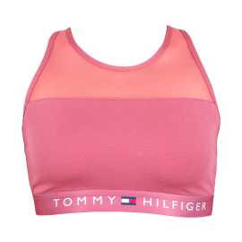 Dámska podprsenka Tommy Hilfiger ružová (UW0UW00012 503) XS.
Dámska športová podprsenka Tommy Hilfiger je ideálna pre ženy, ktoré majú rady pohodlie pri akejkoľvek voľnočasovej aktivite.
