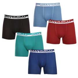 5PACK pánske boxerky Gianvaglia viacfarebné (GVG-5011) L, trenky. Uži si štýl a pohodlie s pánskymi boxerkami Gianvaglia
Vyskúšaj komfort, ktorý si zamiluješ na prvý pohľad a dotyk. Zvýhodnené balenie boxeriek Gianvaglia si nájde svoje miesto v každom pánskom šatníku. Boxerky sú ideálne na každodenné nosenie, prácu aj športové aktivity – s boxerkami Gianvaglia sa budeš cítiť sebavedome a pohodlne po celý deň, nech už ťa čaká čokoľvek.
Príjemný materiál, ktorý sa ti prispôsobí
Boxerky Gianvaglia sú vyrobené z bavlny s prímesou polyamidu a elastanu. Táto kombinácia materiálov ponúka skvelú priedušnosť, pružnosť a pohodlie. Bavlna je jemná na dotyk a prirodzene odvádza vlhkosť, zatiaľ čo elastan zaisťuje, že sa boxerky prispôsobia tvojmu telu a držia tvar aj po mnohých praniach.
Moderný dizajn pre mužov, ktorí vedia, čo chcú
Jednoduchý minimalistický dizajn je doplnený vytkávanou gumou s výrazným logom, ktoré dodáva boxerkám súčasný vzhľad. Boxerky Gianvaglia majú dlhšie nohavičky, ktoré ti poskytnú dostatočné krytie a väčšiu podporu a stabilitu počas pohybu. Výraznejší pás je nielen estetickým prvkom, ale tiež dobre drží boxerky na mieste a pritom nikde netlačí.
Prečo by si mal boxerky Gianvaglia vyskúšať

Pohodlný strih pre každý deň: Dlhšie nohavičky a elastická guma poskytujú podporu a pohodlie, vďaka čomu sú boxerky vhodné na bežné nosenie, šport i voľnočasové aktivity.


Kombinácia štýlu a funkčnosti: Moderné detaily dodávajú boxerkám osobitý štýl, ktorý oživí každý šatník.


Kvalitná zmes materiálov: Vďaka pridanému elastanu a polyamidu sa boxerky ľahko prispôsobia postave a zostávajú pohodlné po celý deň.

Spodná bielizeň Gianvaglia dodá tvojmu šatníku módny švih
Talianska značka spodnej bielizne Gianvaglia v sebe nezaprie južanskú divokosť. Obľúbia si ho všetci, ktorí od svojej bielizne vyžadujú nielen kvalitu a pohodlný strih, ale aj nevšedný dizajn. Z ponuky značky Gianvaglia si vyberú nielen muži, ale aj ženy a deti. Osobitá spodná bielizeň oživí tvoj šatník a zdvihne ti náladu, kedykoľvek si ju oblečieš.
Ako sa starať o boxerky Gianvaglia
Aby ti boxerky dlho vydržali a zostali v perfektnom stave, odporúčame nasledujúcu starostlivosť:

Pranie: Per boxerky na 30 ° C, čo je ideálna teplota pre zachovanie pružnosti a tvaru materiálu. Používaj jemné pracie prostriedky, ktoré sú šetrné k bavlne a elastanu.


Sušenie: Neodporúčame sušiť v sušičke, aby nedošlo k poškodeniu pružnosti gumy a materiálu. Nechaj boxerky voľne uschnúť na vzduchu.


Žehlenie: Pokiaľ je potrebné, žehliť je možné na nízku teplotu vhodnú pre bavlnu. Predĺžiš tak životnosť materiálu a zachováš farby živé.

Tip: Staň sa odborníkom na údržbu spodnej bielizne vďaka radám v našom článku a dopraj svojim obľúbeným kúskom starostlivosť, ktorú si zaslúži.