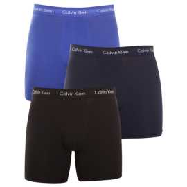 3PACK pánske boxerky Calvin Klein viacfarebné (NB1770A-4KU) M, trenky.
Hľadáte kvalitné boxerky s dlhou nohavičkou?