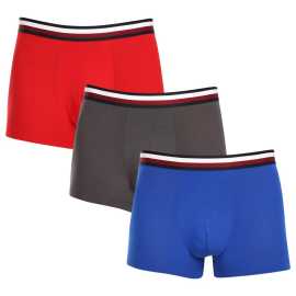 3PACK Herren Klassische Boxershorts Tommy Hilfiger mehrfarbig (UM0UM03035 0UG) M.
Gönnen Sie sich zeitlosen Stil und höchsten Komfort mit den Herren-Boxershorts von Tommy Hilfiger.
Hochwertiges Material für maximalen Komfort
Die Tommy Hilfiger Boxershorts sind aus weicher, sehr angenehm zu tragender Baumwolle mit einem Hauch von Elastan gefertigt, was ihnen Flexibilität und Haltbarkeit verleiht.
Ikonischer Stil und präziser Schnitt
Die Boxershorts haben längere Beine, die nicht hochgekrempelt werden und ausreichend Abdeckung und Komfort bieten.
Warum Sie Tommy Hilfiger Boxershorts nicht verpassen dürfen

Hochwertige Baumwolle mit Elastan: Weich, atmungsaktiv und bequem für ganztägigen Tragekomfort.
Längeres Bein und elastischer Bund: Stabilität, Stil und kein Scrollen.
Elegantes und zeitloses Design: Ideal für den Alltag und besondere Anlässe.

Tommy Hilfiger Unterwäsche ist eine Garantie für höchste Qualität
Die Marke Tommy Hilfiger wurde vor fast 40 Jahren zu einer Ikone amerikanischer Kleidung, und ihre farbenfrohe Palette aus Blau, Rot und Weiß ist auf den ersten Blick zu erkennen.
Pflegehinweise für Tommy Hilfiger Boxershorts

Waschen: Per bei 30 °C.
Trocknen: Boxer können bei niedriger Temperatur im Wäschetrockner getrocknet werden.
Bügeln: Falls erforderlich, können sie bei einer niedrigeren Temperatur gebügelt werden.

Tip: Das perfekte Stück Unterwäsche zu finden, kann manchmal eine Herausforderung sein.