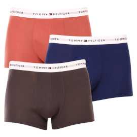 3PACK pánske boxerky Tommy Hilfiger viacfarebné (UM0UM02761 0TF) XXL, trenky.
Boxerky Tommy Hilfiger 