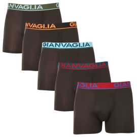 5PACK pánske boxerky Gianvaglia čierne (GVG-5010) L.
Hľadáte kvalitné, ale zároveň cenovo dostupné boxerky?