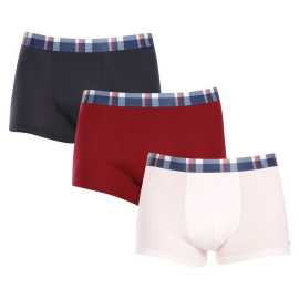 Embalagem danificada - 3PACK Boxers para homem Tommy Hilfiger multicolorido (UM0UM03041 0XU) XL.